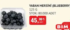 YABAN MERSİNİ (BLUEBERRY) 125 G YABAN MERSİNİ (BLUEBERRY) 125 G